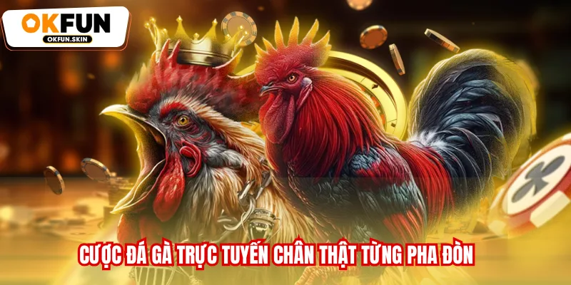 Cược Đá gà trực tuyến chân thật từng pha đòn