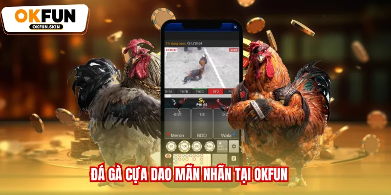 Đá gà cựa dao mãn nhãn tại OKFUN