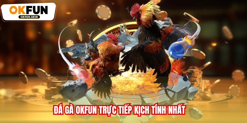 Đá gà OKFUN trực tiếp kịch tính nhất