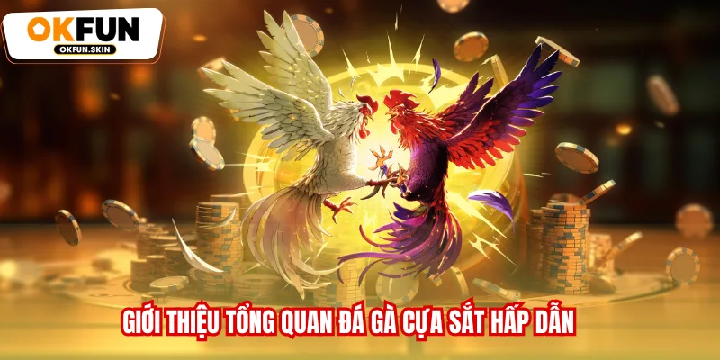 Giới thiệu tổng quan đá gà cựa sắt hấp dẫn
