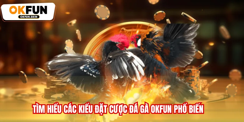 Tìm hiểu các kiểu đặt cược đá gà OKFUN phổ biến